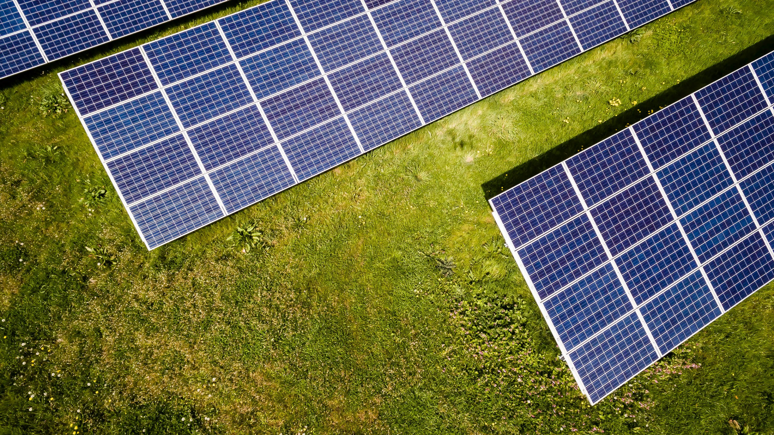 A field of solar panels under a clear sky, representing solar energy investments.