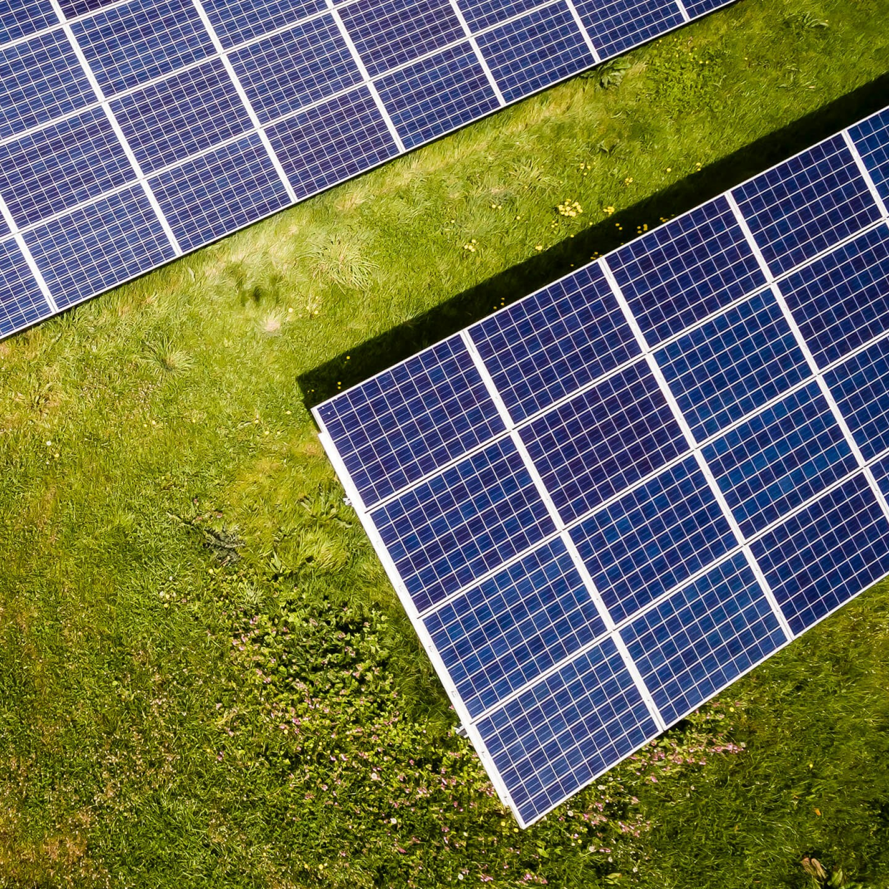 A field of solar panels under a clear sky, representing solar energy investments.
